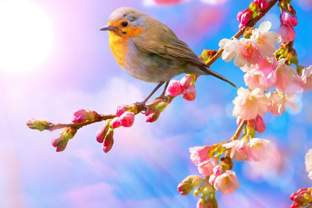 Погода в апреле