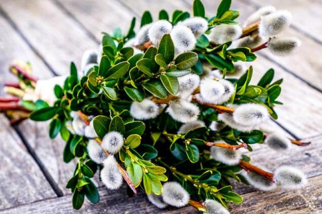 Когда Вербное воскресенье и Чистый четверг в 2020 году: даты