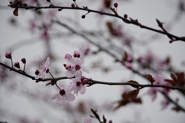 Саввин день: что нельзя делать, чтобы не стать нищим