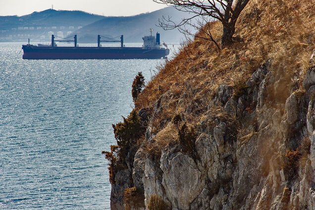 Український моряк підхопив коронавірус на судні в Нігерії (ілюстрація)