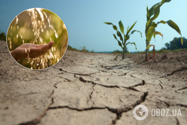 Прогноз погоди на квітень-травень в Україні: прийде сильна посуха