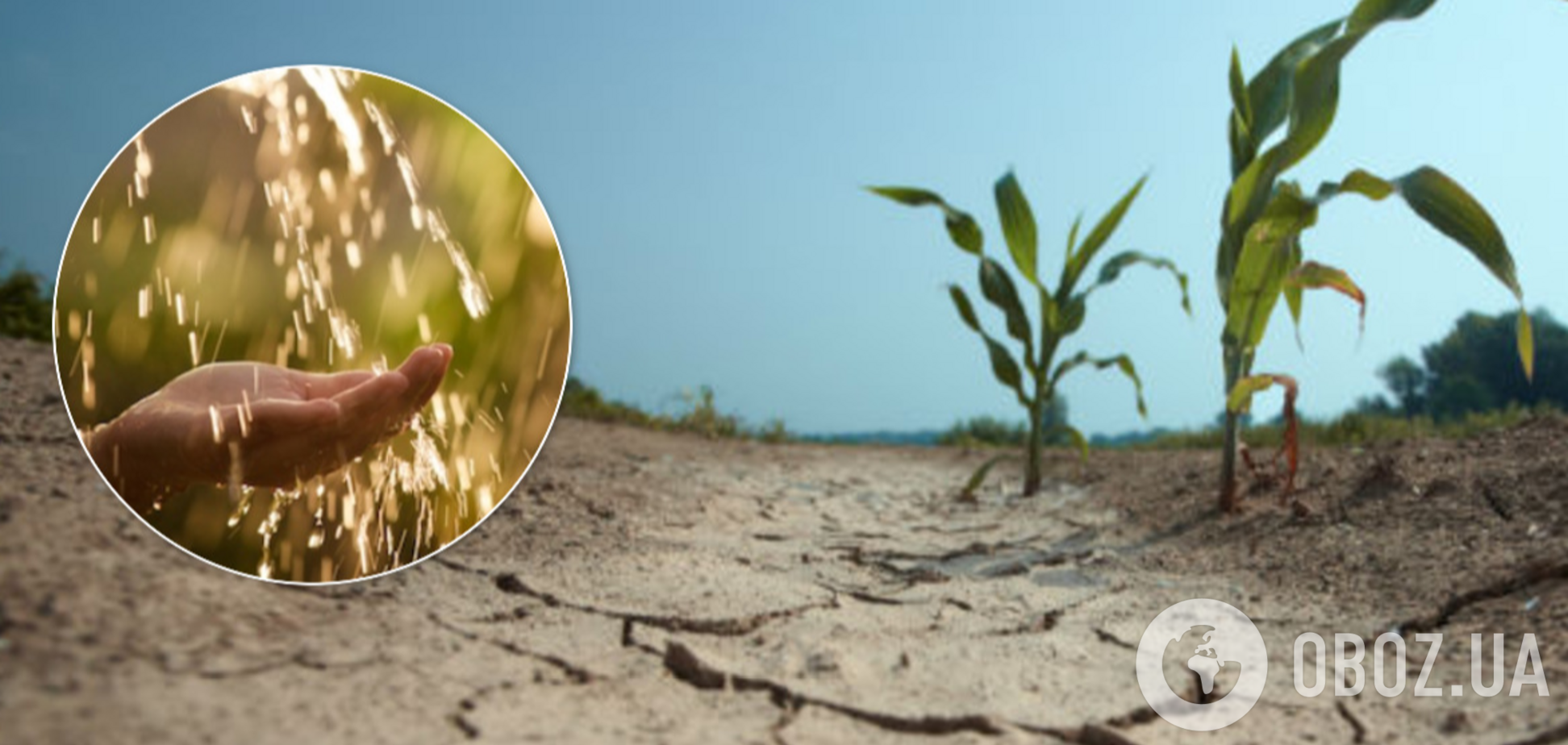 Прогноз погоды на апрель-май в Украине: придет сильная засуха
