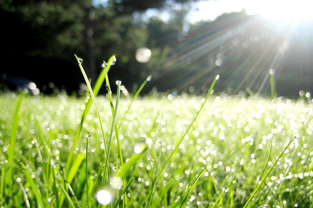 Погода в Україні: різко потеплішає до +18