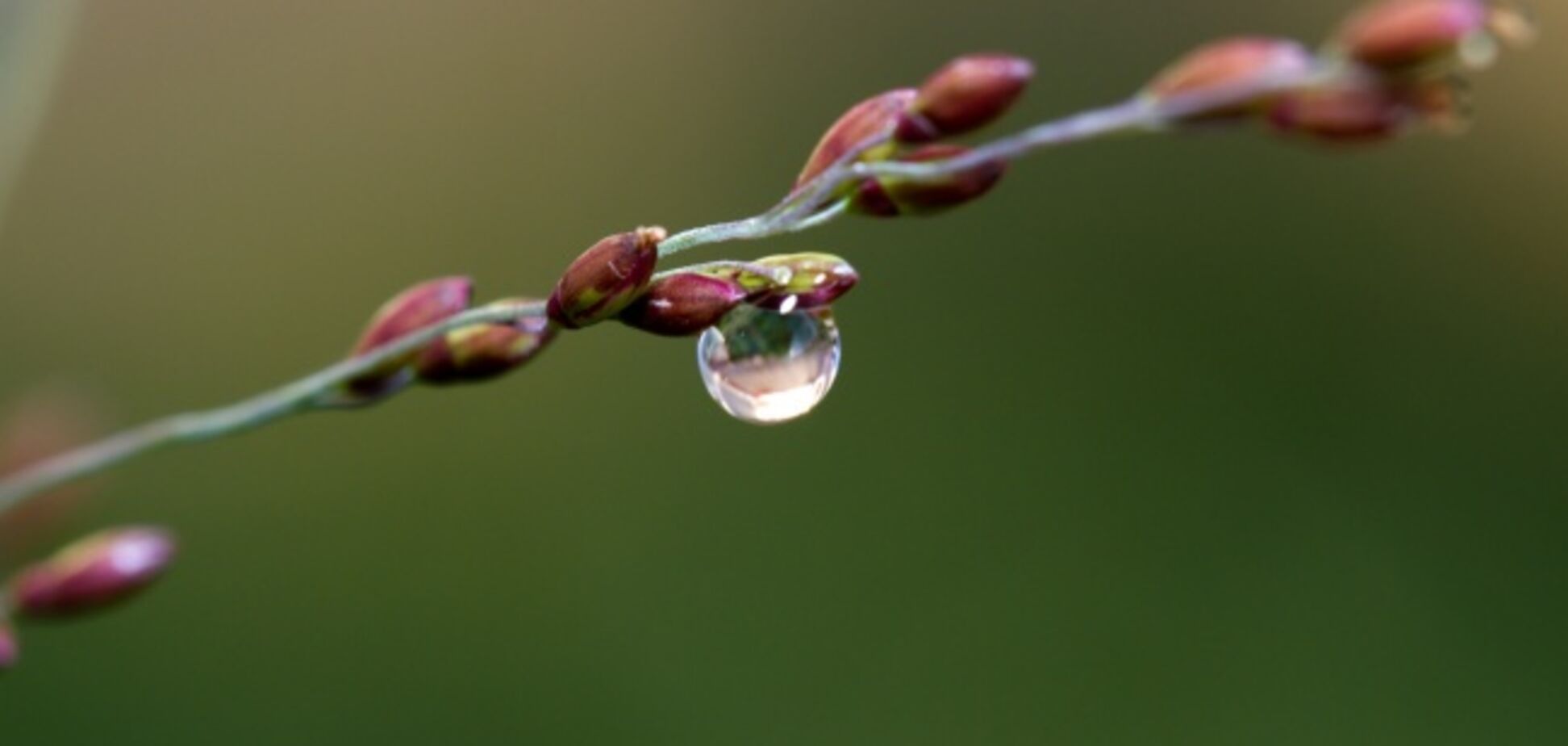 В Україну йде істотне потепління: названі дати
