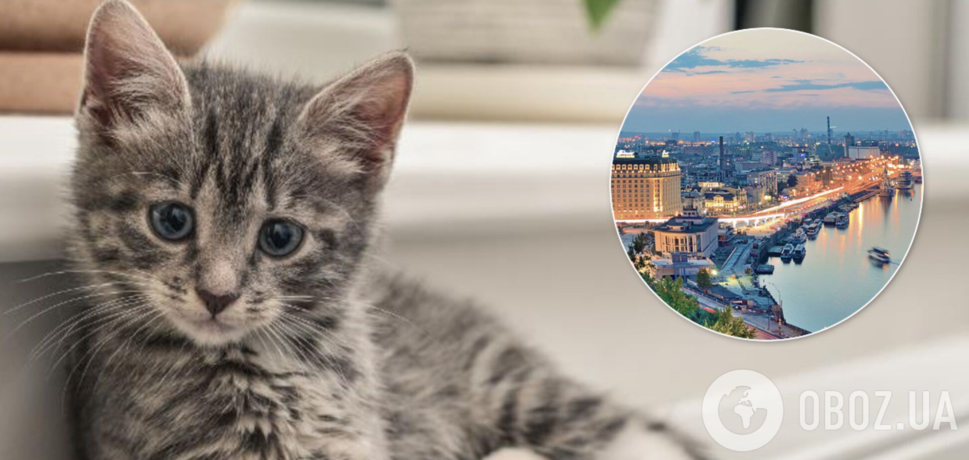 Отопление в Киеве. Иллюстрация