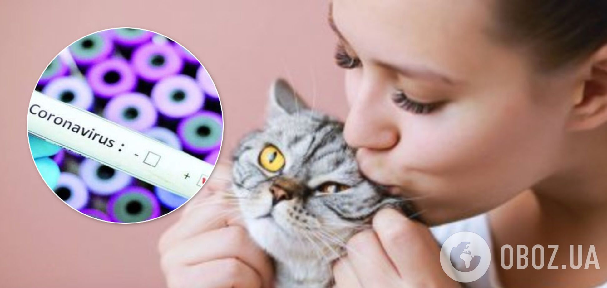 Владельцы домашних животных легче переносят коронавирус: наблюдение польского врача