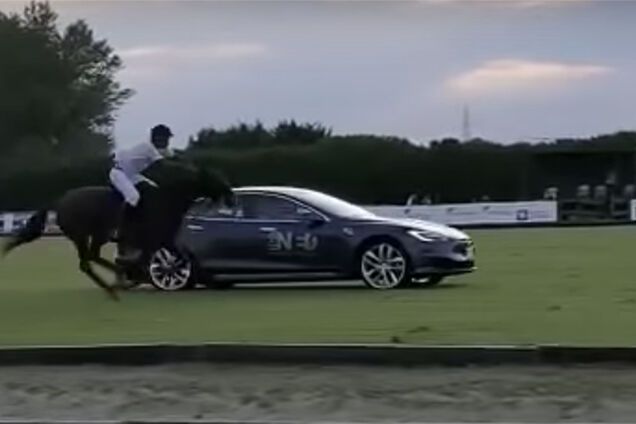 Tesla Model S сразилась в гонке с лошадью: неожиданный финал