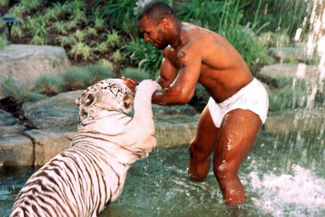 Майк Тайсон згадав напад свого тигра на незнайомку
