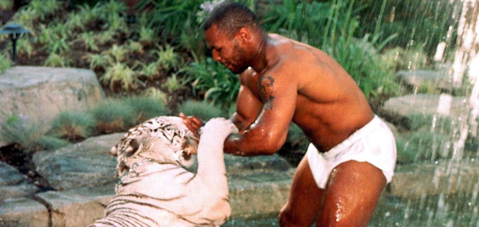 Майк Тайсон и его бенгальский тигр