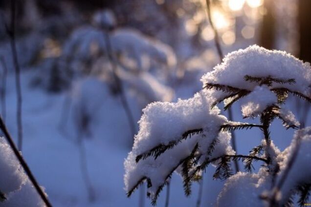 Синоптики попередили про нове похолодання в Україні: весна скасовується