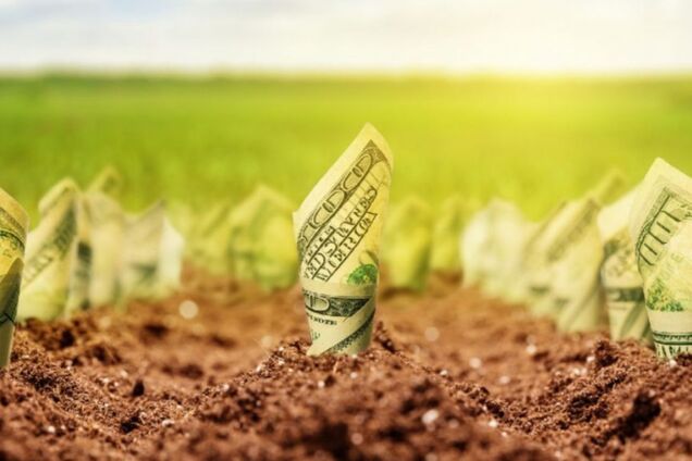 Рада открыла рынок земли: что нужно знать украинцам