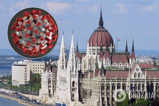 В Венгрии впервые подтвердили коронавирус