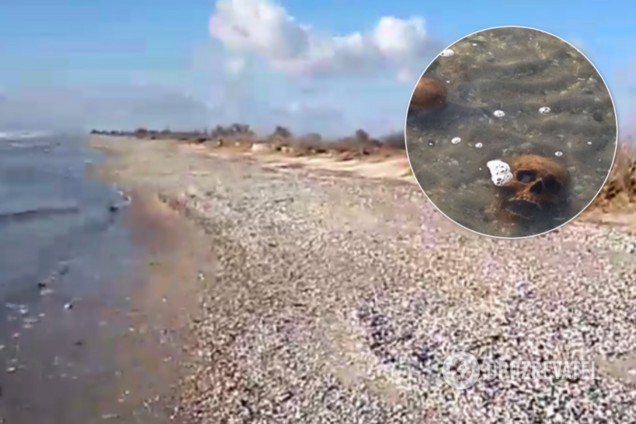 На Николаевщине морем вынесло черепа людей