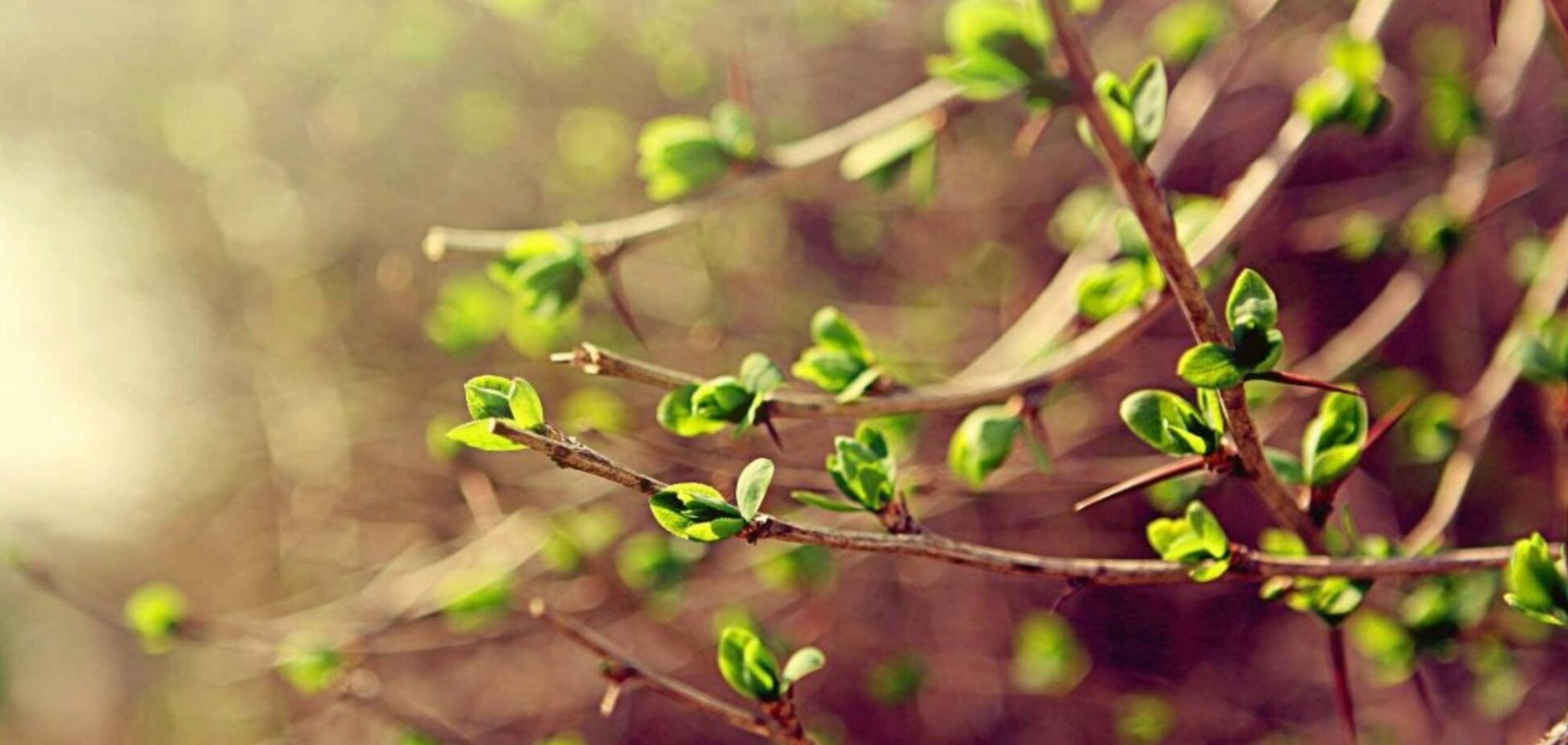 Погода в Украине 4 марта