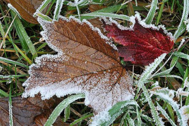 Погода в Україні: синоптики попередили про похолодання