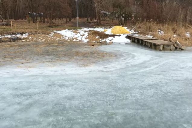Унікальну тварину, що вимирає, зняли на відео в Україні