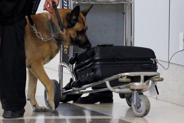 Что делать, если вы нашли подозрительный предмет: советы спасателей Днепра