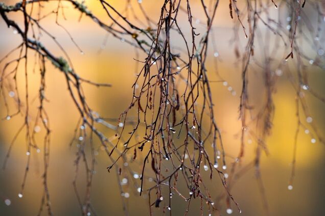 Погода в Україні 7 березня