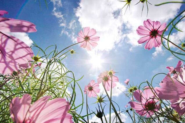 Погода на весну в Україні: з'явився детальний прогноз