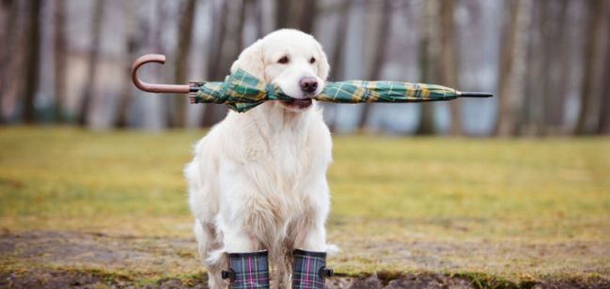 Погода в Украине 9 марта