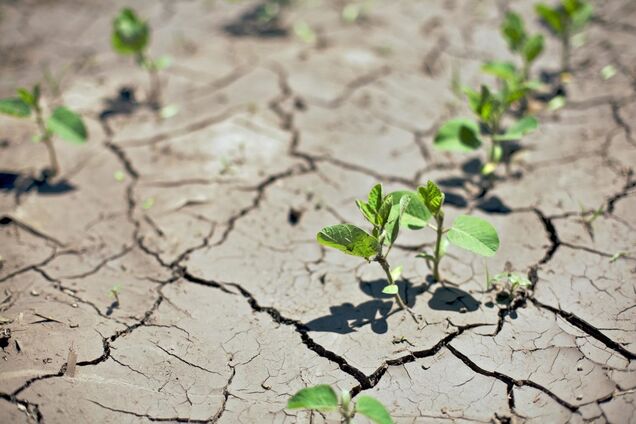 Украине грозит засуха: появился жаркий прогноз погоды на весну-2020