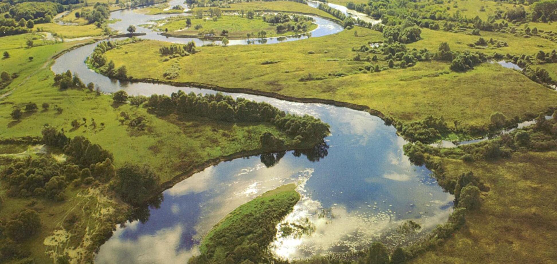 Реки в Украине оказались под угрозой исчезновения: экологи забили тревогу