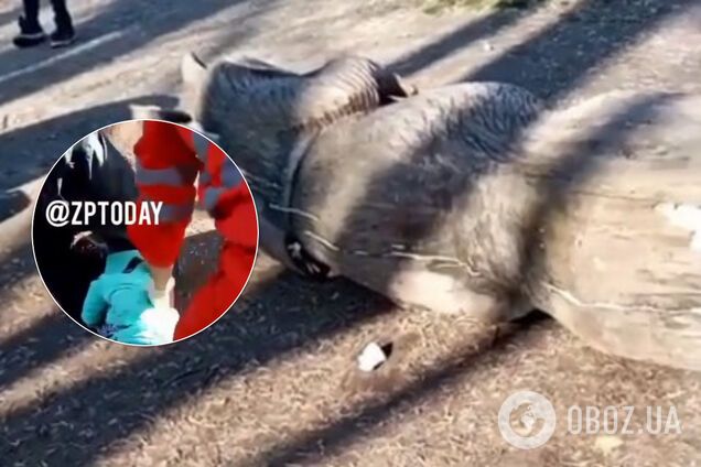 В Запорожье на ребенка упала скульптура в 200 кг. Видео 18+