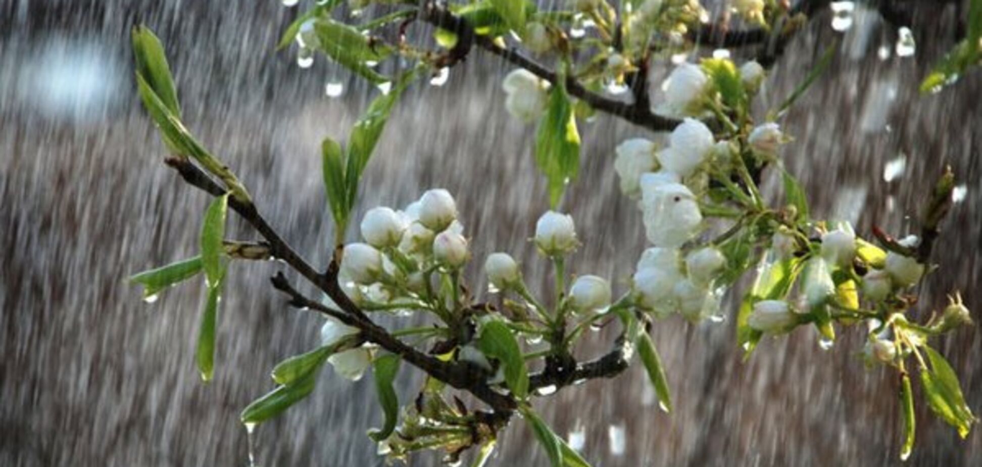 Україну заллє і підігріє до +19: свіжий прогноз погоди на сьогодні