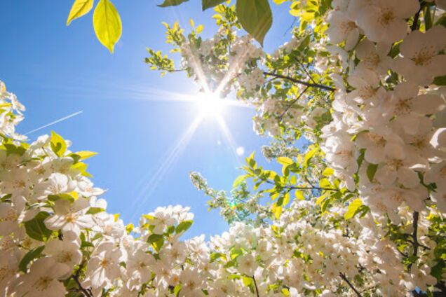 Погода в травні буде аномально спекотною