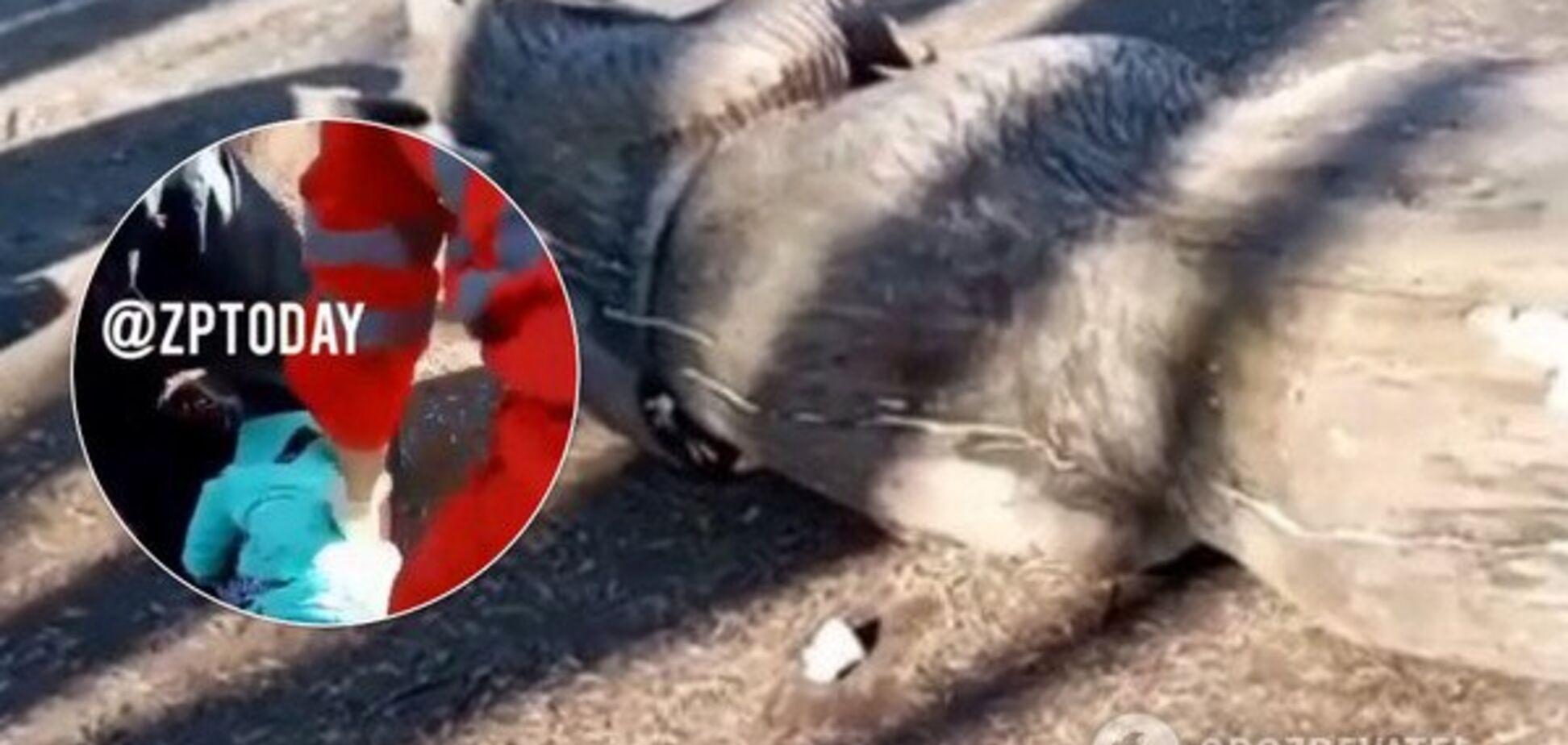 В Запорожье умерла девочка, на которую упала скульптура в 200 кг: детали трагедии