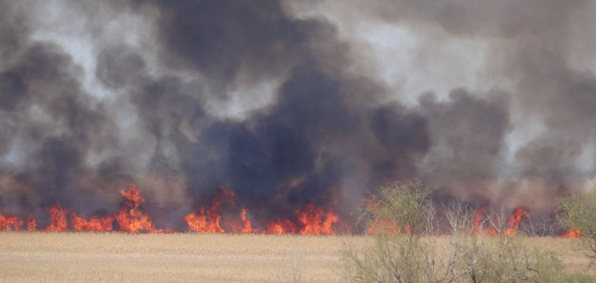 На Одещині вигорів природний парк