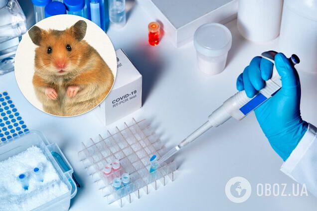 Вчені знайшли новий спосіб лікування коронавірусу