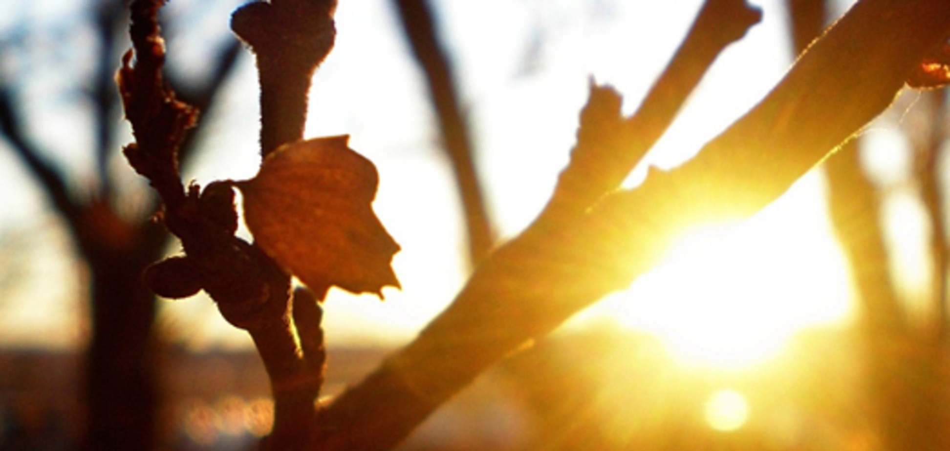 Якою буде погода в жовтні: Укргідрометцентр дав прогноз
