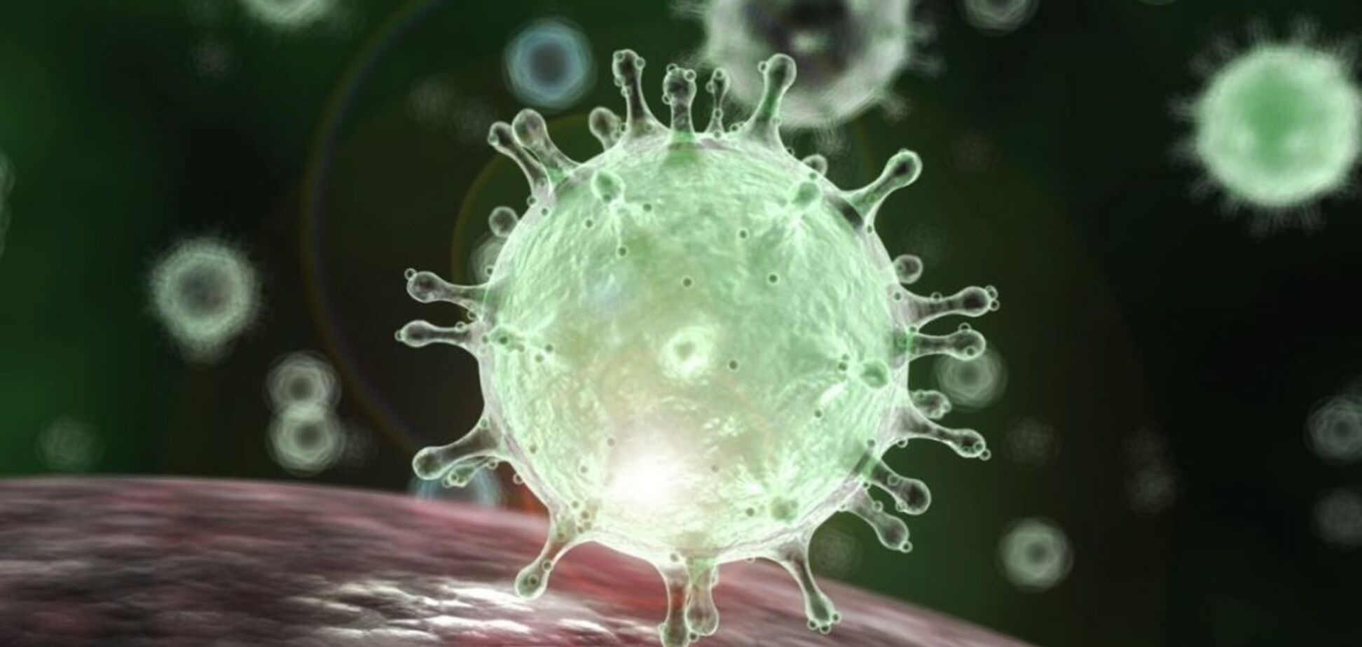 У США  розкрили правду про передачу коронавірусу