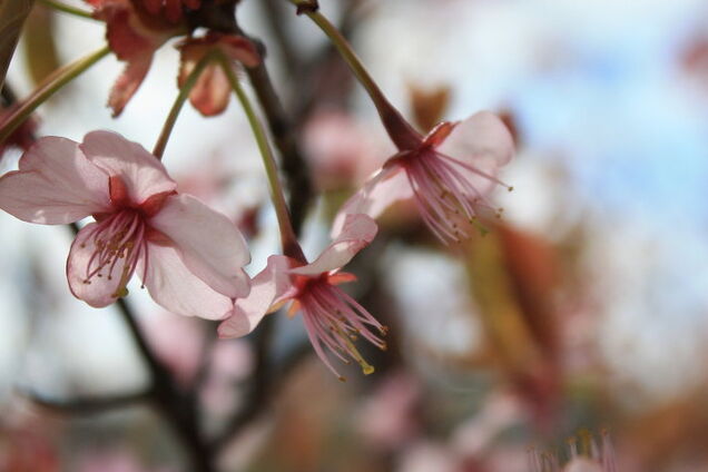 Прогреет до +20: синоптики дали свежий прогноз погоды в Днепре
