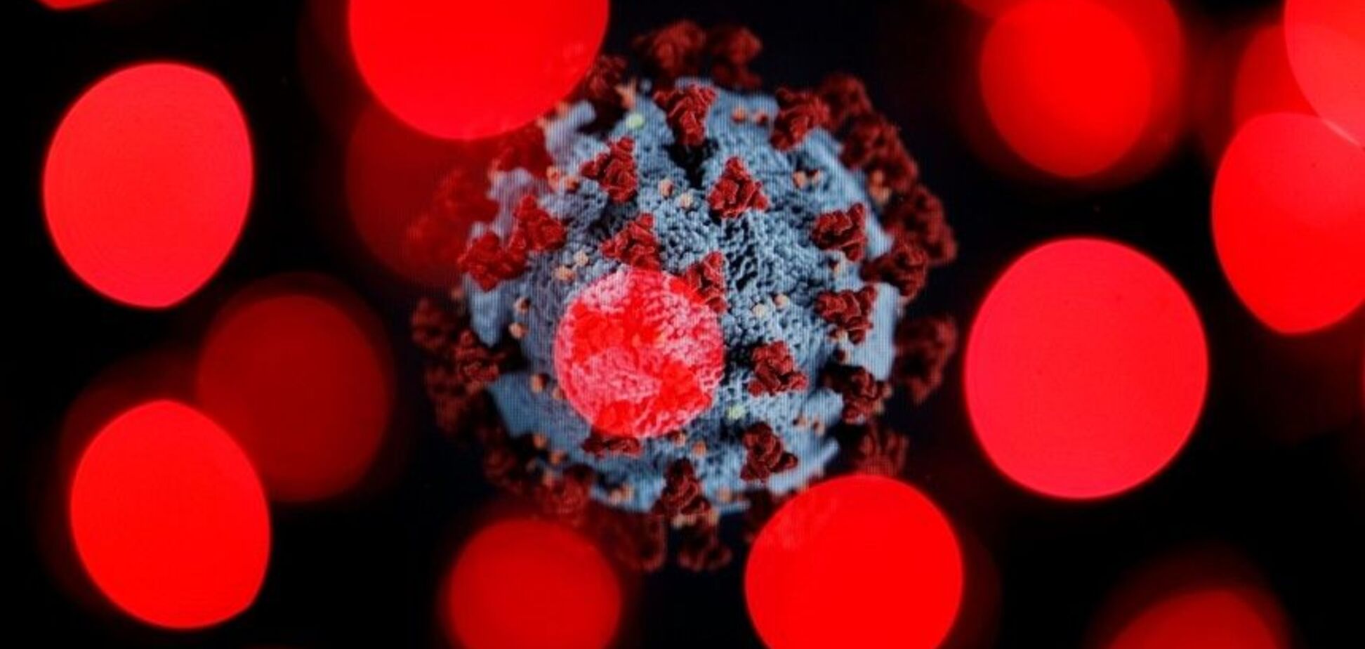 Есть главный маркер: инфекционист сказал, когда эпидемия COVID-19 пойдет на спад