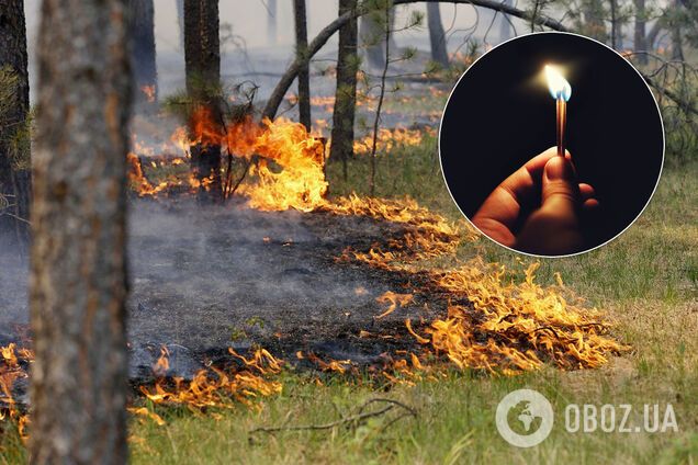 Сгорели сотни животных, гибнут люди: эколог рассказал об ужасающей ситуации в Украине