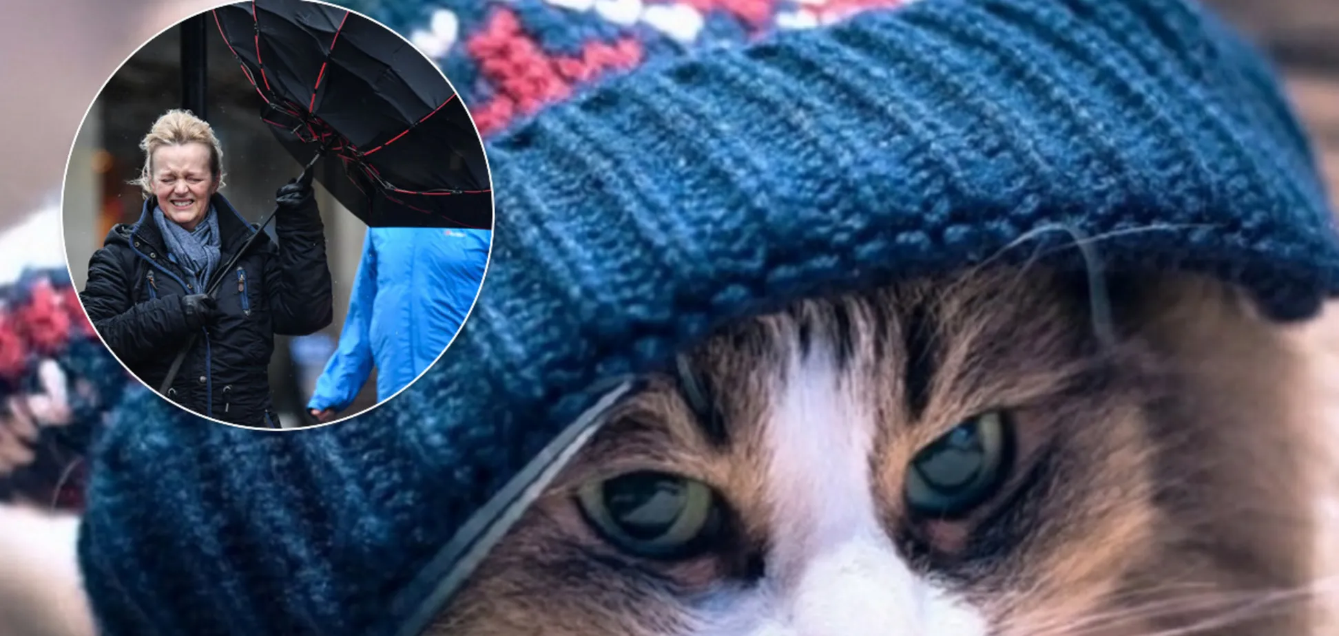 Мокрий сніг та заморозки у травні: синоптики пояснили різке похолодання в Україні