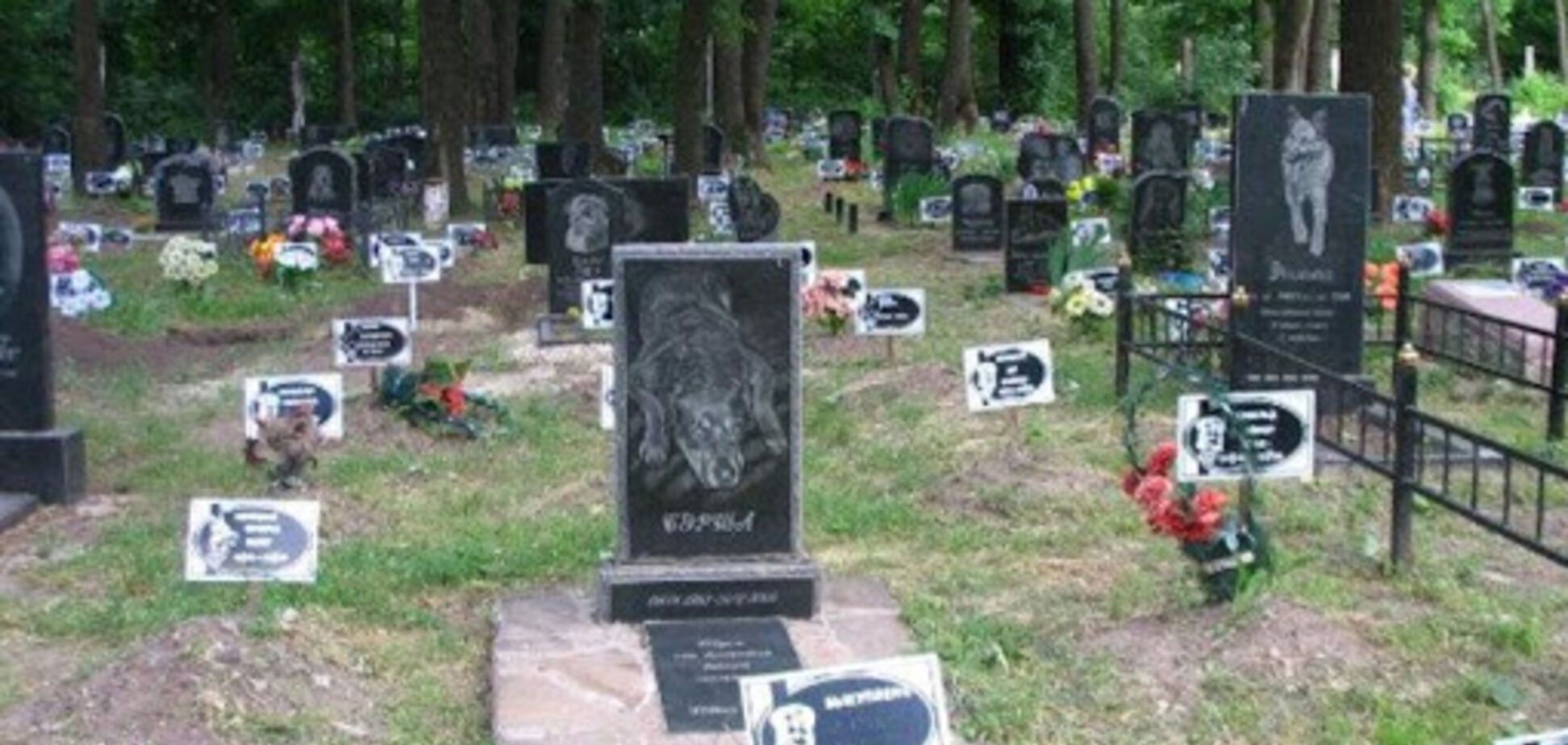В Днепре возле могилы животного нашли мертвую женщину. Фото 18+