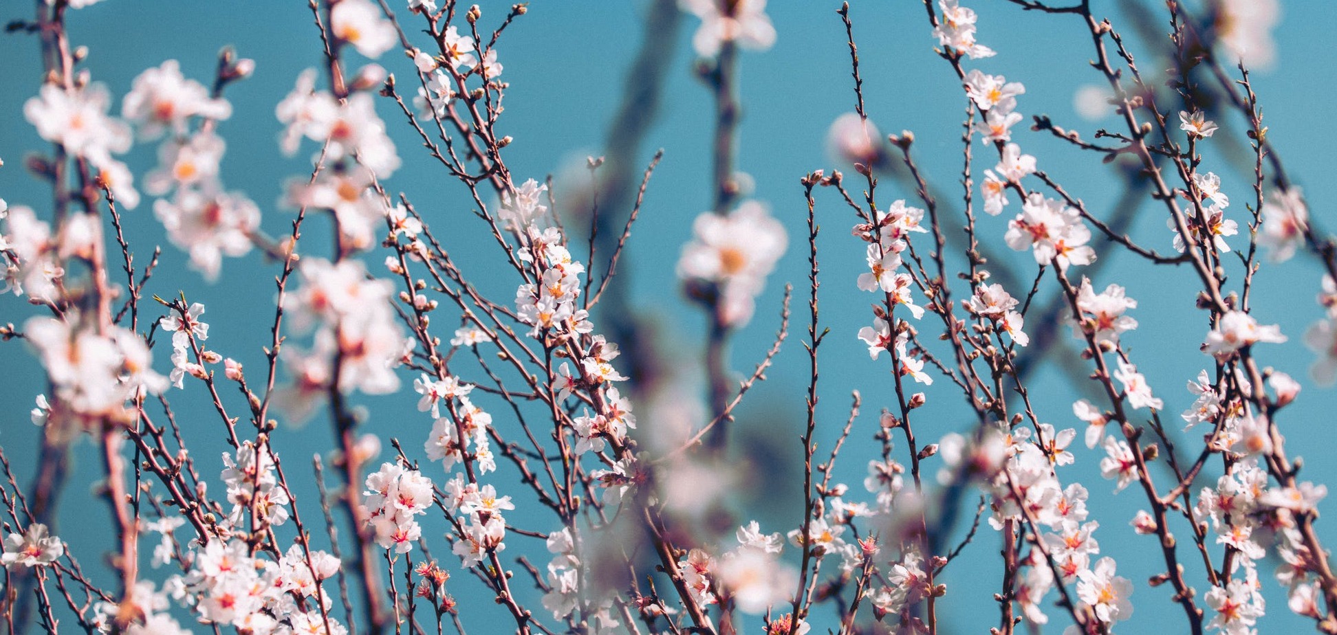 Приметы и праздники 11 апреля: что нельзя делать в этот день