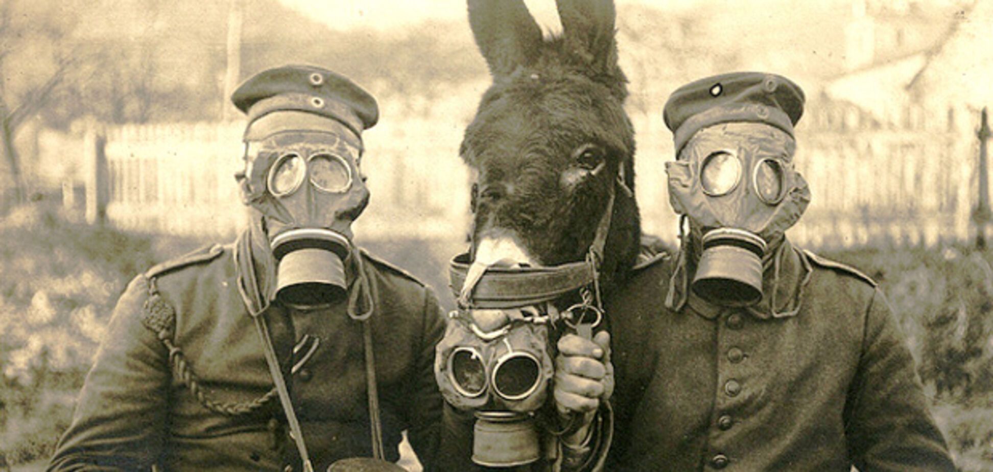 На складах Держрезерву знайшлися протигази для коней з СРСР: що це таке. Фото