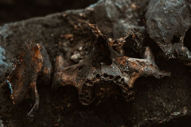 В Днепре возле жилого дома нашли человеческий череп и кости. Фото