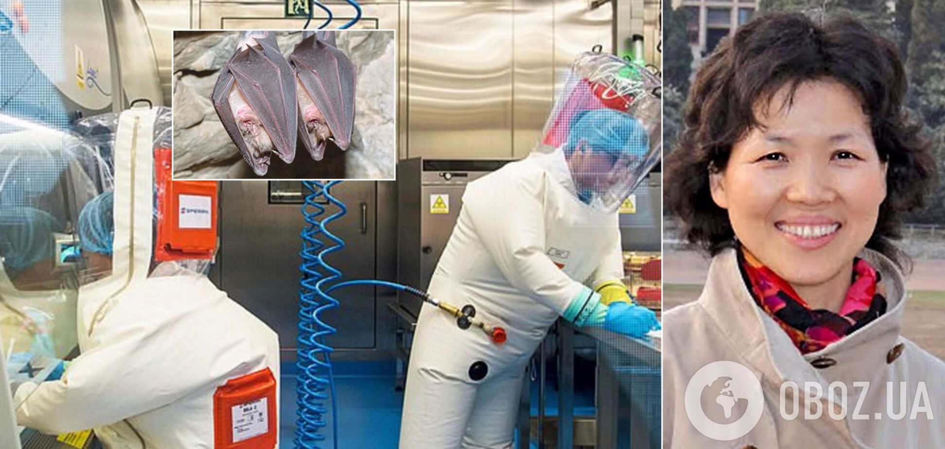 В Китае ученая в первые дни открыла геном коронавируса: ее заставили молчать