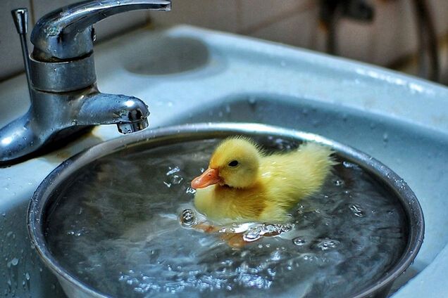 У Дніпрі відключать воду на цілий день: адреси