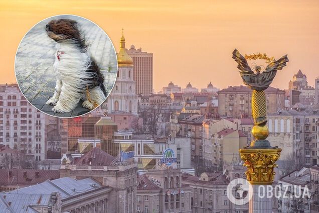 У Києві та області сильно зіпсується погода. Ілюстрація