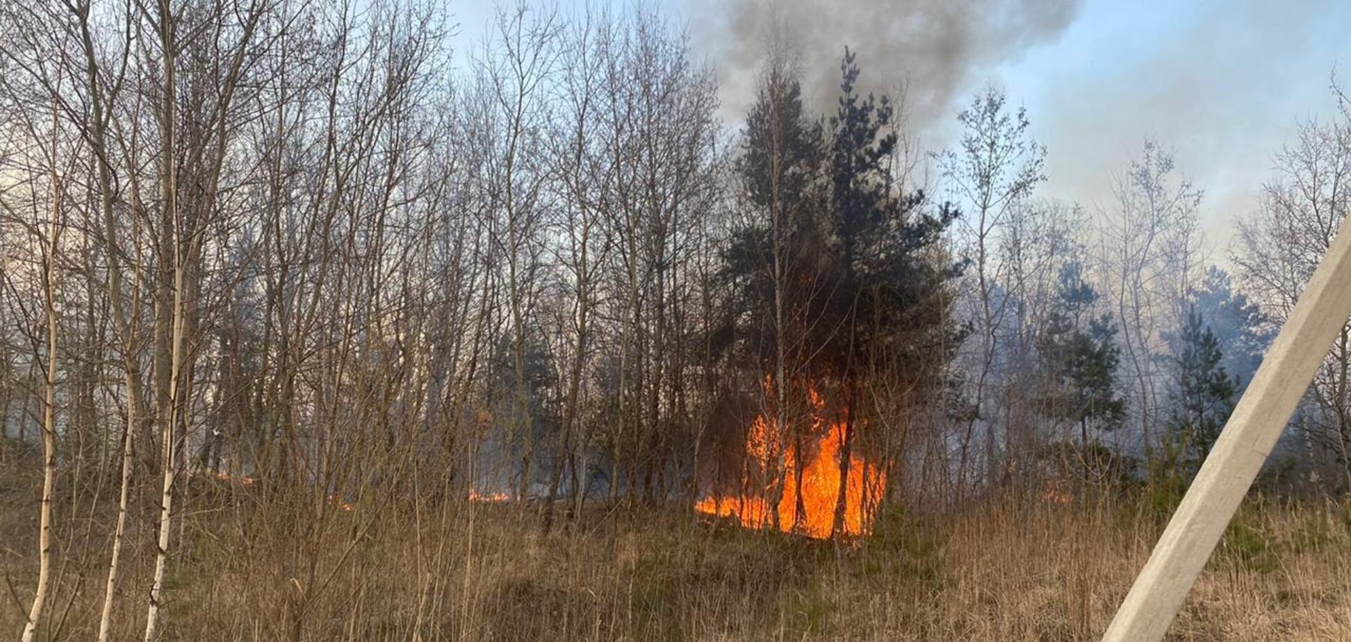 Рада посилила покарання за підпал трави у десятки разів