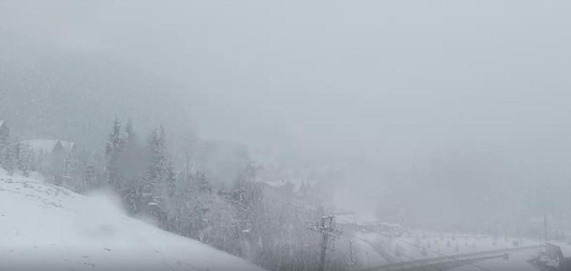 Українські Карпати завалило снігом: з'явилися яскраві фото і відео