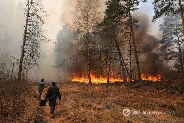 Пожары в зоне отчуждения локализованы: в МВД рассказали, что еще продолжает гореть