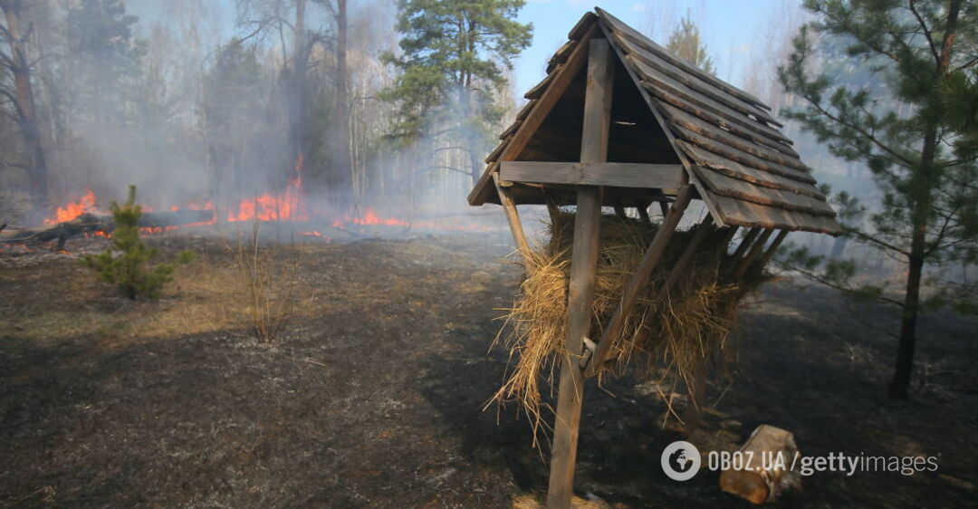 Пожежа в Чорнобильській зоні може стати міжнаціональною – еколог