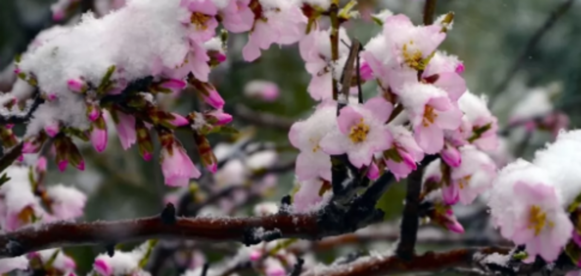 Погода в Украине